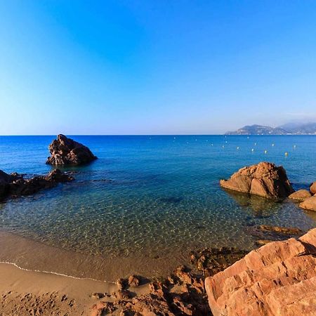 A 10 Min De La Croisette - Pieds Dans La Mer 戛纳 外观 照片