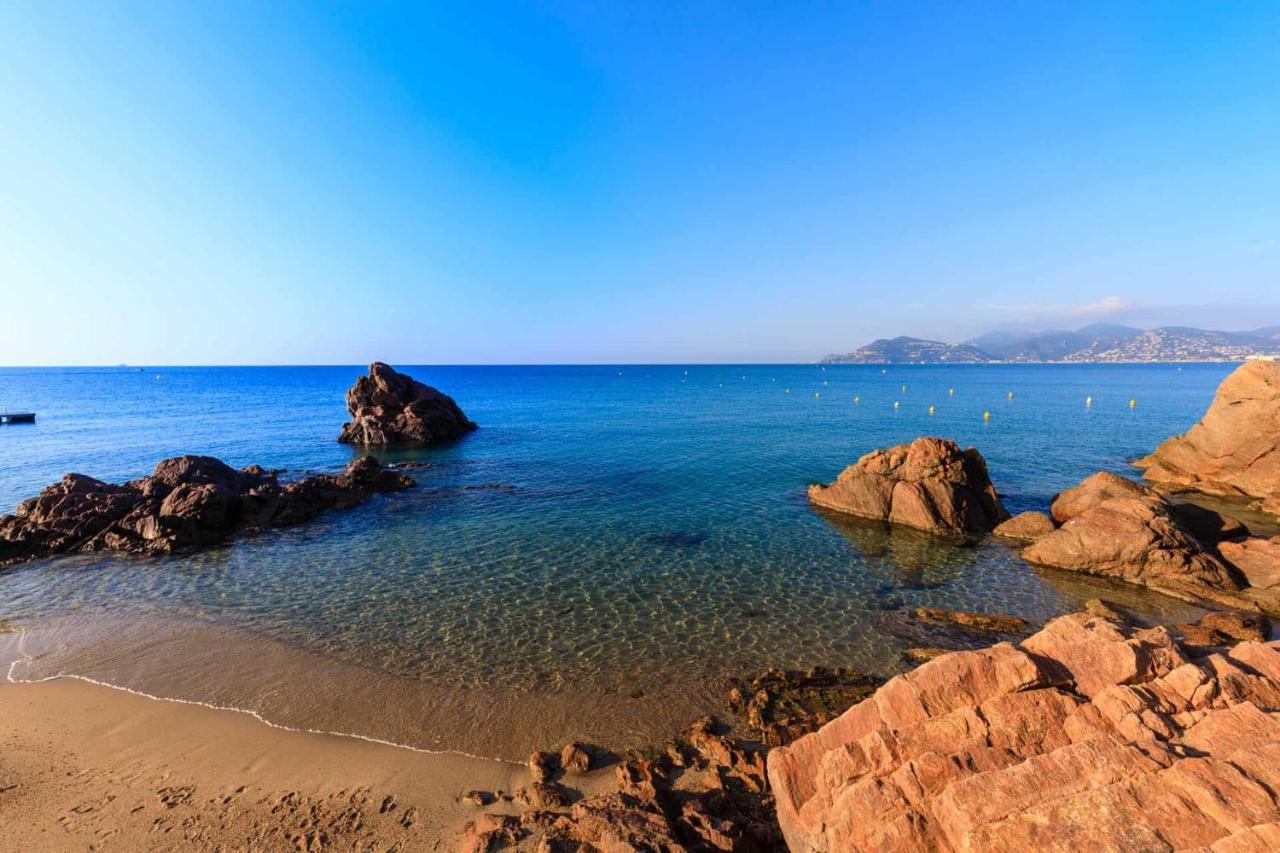 A 10 Min De La Croisette - Pieds Dans La Mer 戛纳 外观 照片