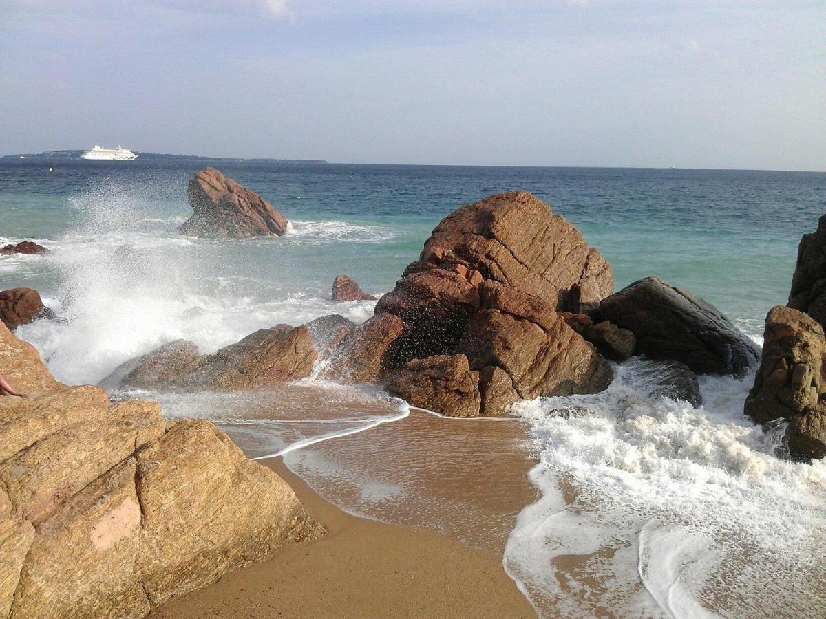 A 10 Min De La Croisette - Pieds Dans La Mer 戛纳 外观 照片